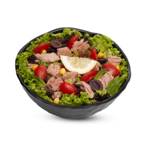 TON BALIKLI SALATA